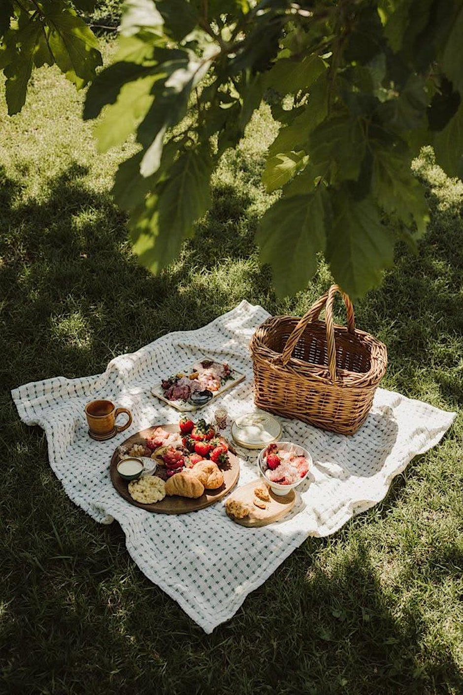Picnic Anti-Social Primera Edición ¡Haz amigos nuevos!