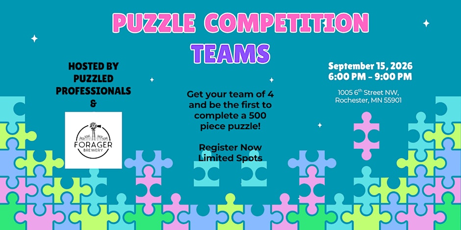 Puzzle Competition Teams