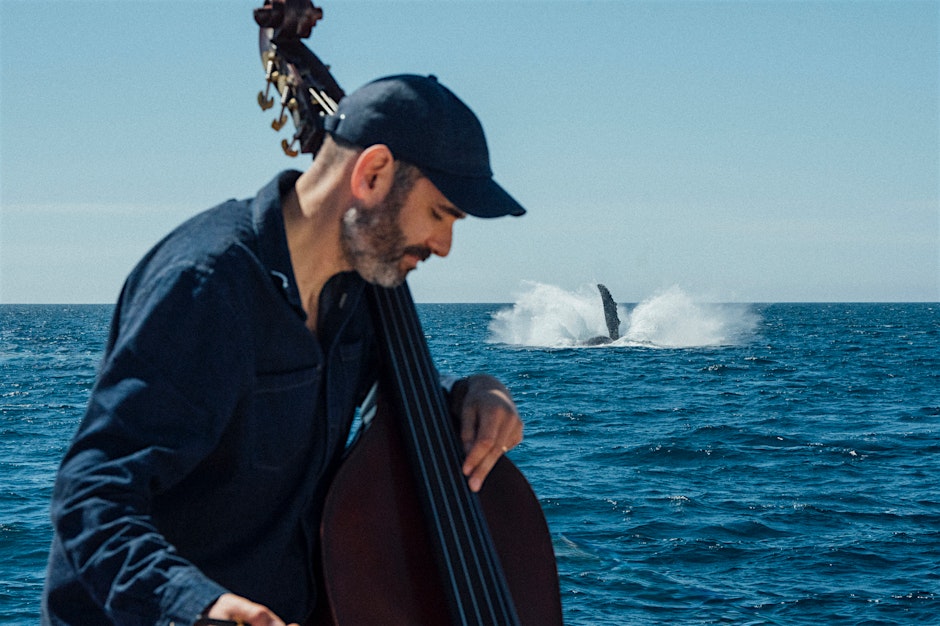 Experience the Music of Garth Stevenson