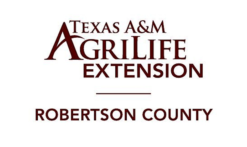 Beef Cattle and Forage Management Seminar